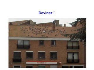 Devinez ! 