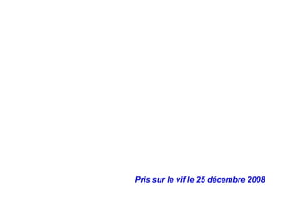 Pris sur le vif le 25 décembre 2008 
