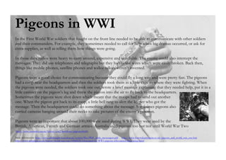 
Pigeons in WWI
In the First World War soldiers that fought on the front line needed to be able to communicate with other soldiers
and their commanders. For example, they sometimes needed to call for help when big dramas occurred, or ask for
extra supplies, as well as telling them how things were going.
In those days radios were heavy to carry around, expensive and unreliable. The enemy could also intercept the
messages. They did use telephones and telegraphs but they had to use wires which were easily broken. Back then,
things like mobile phones, satellite phones and walkie talkies weren’t invented.
Pigeons were a good choice for communicating because they could fly a long way and were pretty fast. The pigeons
had a coop near the headquarters and then the soldiers took them in a little cage to where they were fighting. When
the pigeons were needed, the soldiers took one out, wrote a brief message explaining that they needed help, put it in a
little canister on the pigeon’s leg and threw the pigeon into the air to fly back to the headquarters.
Sometimes the pigeons were shot down which meant that the troops had to send out another
one. When the pigeon got back to its coop, a little bell rang to alert the keeper who got the
message. Then the headquarters could do something about the message. Sometimes pigeons also
carried cameras hanging around their necks to take pictures of the enemy’s position.
Pigeons were so important that about 100,000 were used during WWI. They were used by the
British, American, French and German armies. Australia used pigeons too but not until World War Two
(http://www.anzacday.org.au/history/ww2/anecdotes/pigeons.html).
More information: http://www.edinburghs-war.ed.ac.uk/system/files/PDF_birds_messengers.pdf http://www.historylearningsite.co.uk/pigeons_and_world_war_one.htm
http://www.telegraph.co.uk/history/world-war-one/10566025/Honoured-the-WW1-pigeons-who-earned-their-wings.html
 