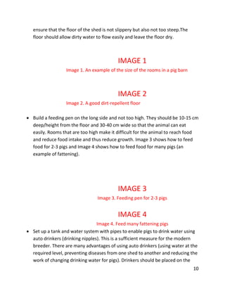 10
ensure that the floor of the shed is not slippery but also not too steep.The
floor should allow dirty water to flow easily and leave the floor dry.
IMAGE 1
Image 1. An example of the size of the rooms in a pig barn
IMAGE 2
Image 2. A good dirt-repellent floor
 Build a feeding pen on the long side and not too high. They should be 10-15 cm
deep/height from the floor and 30-40 cm wide so that the animal can eat
easily. Rooms that are too high make it difficult for the animal to reach food
and reduce food intake and thus reduce growth. Image 3 shows how to feed
food for 2-3 pigs and Image 4 shows how to feed food for many pigs (an
example of fattening).
IMAGE 3
Image 3. Feeding pen for 2-3 pigs
IMAGE 4
Image 4. Feed many fattening pigs
 Set up a tank and water system with pipes to enable pigs to drink water using
auto drinkers (drinking nipples). This is a sufficient measure for the modern
breeder. There are many advantages of using auto drinkers (using water at the
required level, preventing diseases from one shed to another and reducing the
work of changing drinking water for pigs). Drinkers should be placed on the
 