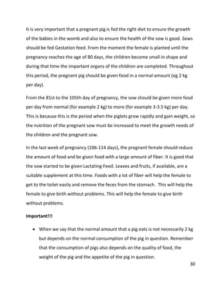 30
It is very important that a pregnant pig is fed the right diet to ensure the growth
of the babies in the womb and also to ensure the health of the sow is good. Sows
should be fed Gestation feed. From the moment the female is planted until the
pregnancy reaches the age of 80 days, the children become small in shape and
during that time the important organs of the children are completed. Throughout
this period, the pregnant pig should be given food in a normal amount (eg 2 kg
per day).
From the 81st to the 105th day of pregnancy, the sow should be given more food
per day from normal (for example 2 kg) to more (for example 3-3.5 kg) per day.
This is because this is the period when the piglets grow rapidly and gain weight, so
the nutrition of the pregnant sow must be increased to meet the growth needs of
the children and the pregnant sow.
In the last week of pregnancy (106-114 days), the pregnant female should reduce
the amount of food and be given food with a large amount of fiber. It is good that
the sow started to be given Lactating Feed. Leaves and fruits, if available, are a
suitable supplement at this time. Foods with a lot of fiber will help the female to
get to the toilet easily and remove the feces from the stomach. This will help the
female to give birth without problems. This will help the female to give birth
without problems.
Important!!!
 When we say that the normal amount that a pig eats is not necessarily 2 kg
but depends on the normal consumption of the pig in question. Remember
that the consumption of pigs also depends on the quality of food, the
weight of the pig and the appetite of the pig in question.
 