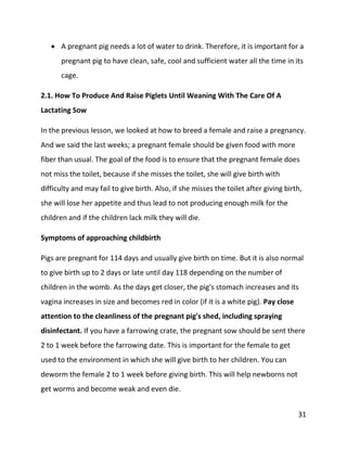 31
 A pregnant pig needs a lot of water to drink. Therefore, it is important for a
pregnant pig to have clean, safe, cool and sufficient water all the time in its
cage.
2.1. How To Produce And Raise Piglets Until Weaning With The Care Of A
Lactating Sow
In the previous lesson, we looked at how to breed a female and raise a pregnancy.
And we said the last weeks; a pregnant female should be given food with more
fiber than usual. The goal of the food is to ensure that the pregnant female does
not miss the toilet, because if she misses the toilet, she will give birth with
difficulty and may fail to give birth. Also, if she misses the toilet after giving birth,
she will lose her appetite and thus lead to not producing enough milk for the
children and if the children lack milk they will die.
Symptoms of approaching childbirth
Pigs are pregnant for 114 days and usually give birth on time. But it is also normal
to give birth up to 2 days or late until day 118 depending on the number of
children in the womb. As the days get closer, the pig's stomach increases and its
vagina increases in size and becomes red in color (if it is a white pig). Pay close
attention to the cleanliness of the pregnant pig's shed, including spraying
disinfectant. If you have a farrowing crate, the pregnant sow should be sent there
2 to 1 week before the farrowing date. This is important for the female to get
used to the environment in which she will give birth to her children. You can
deworm the female 2 to 1 week before giving birth. This will help newborns not
get worms and become weak and even die.
 