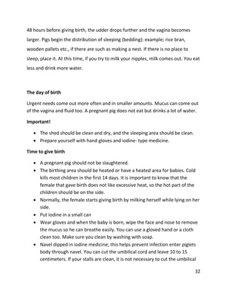 32
48 hours before giving birth, the udder drops further and the vagina becomes
larger. Pigs begin the distribution of sleeping (bedding): example; rice bran,
wooden pallets etc., if there are such as making a nest. If there is no place to
sleep, place it. At this time, if you try to milk your nipples, milk comes out. You eat
less and drink more water.
The day of birth
Urgent needs come out more often and in smaller amounts. Mucus can come out
of the vagina and fluid too. A pregnant pig does not eat but drinks a lot of water.
Important!
 The shed should be clean and dry, and the sleeping area should be clean.
 Prepare yourself with hand gloves and iodine- type medicine.
Time to give birth
 A pregnant pig should not be slaughtered.
 The birthing area should be heated or have a heated area for babies. Cold
kills most children in the first 14 days. It is important to know that the
female that gave birth does not like excessive heat, so the hot part of the
children should be on the side.
 Normally, the female starts giving birth by milking herself while lying on her
side.
 Put iodine in a small can
 Wear gloves and when the baby is born, wipe the face and nose to remove
the mucus so he can breathe easily. You can use a gloved hand or a cloth
clean too. Make sure you clean by washing with soap.
 Navel dipped in iodine medicine; this helps prevent infection enter piglets
body through navel. You can cut the umbilical cord and leave 10 to 15
centimeters. If your stalls are clean, it is not necessary to cut the umbilical
 