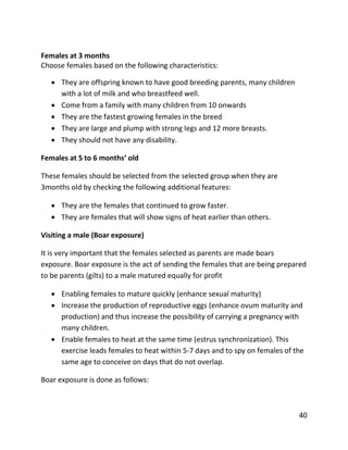 40
Females at 3 months
Choose females based on the following characteristics:
 They are offspring known to have good breeding parents, many children
with a lot of milk and who breastfeed well.
 Come from a family with many children from 10 onwards
 They are the fastest growing females in the breed
 They are large and plump with strong legs and 12 more breasts.
 They should not have any disability.
Females at 5 to 6 months’ old
These females should be selected from the selected group when they are
3months old by checking the following additional features:
 They are the females that continued to grow faster.
 They are females that will show signs of heat earlier than others.
Visiting a male (Boar exposure)
It is very important that the females selected as parents are made boars
exposure. Boar exposure is the act of sending the females that are being prepared
to be parents (gilts) to a male matured equally for profit
 Enabling females to mature quickly (enhance sexual maturity)
 Increase the production of reproductive eggs (enhance ovum maturity and
production) and thus increase the possibility of carrying a pregnancy with
many children.
 Enable females to heat at the same time (estrus synchronization). This
exercise leads females to heat within 5-7 days and to spy on females of the
same age to conceive on days that do not overlap.
Boar exposure is done as follows:
 
