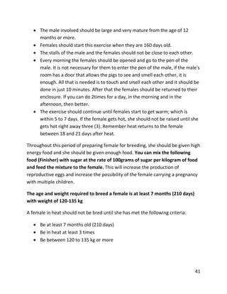 41
 The male involved should be large and very mature from the age of 12
months or more.
 Females should start this exercise when they are 160 days old.
 The stalls of the male and the females should not be close to each other.
 Every morning the females should be opened and go to the pen of the
male. It is not necessary for them to enter the pen of the male, if the male's
room has a door that allows the pigs to see and smell each other, it is
enough. All that is needed is to touch and smell each other and it should be
done in just 10 minutes. After that the females should be returned to their
enclosure. If you can do 2times for a day, in the morning and in the
afternoon, then better.
 The exercise should continue until females start to get warm; which is
within 5 to 7 days. If the female gets hot, she should not be raised until she
gets hot right away three (3). Remember heat returns to the female
between 18 and 21 days after heat.
Throughout this period of preparing female for breeding, she should be given high
energy food and she should be given enough food. You can mix the following
food (Finisher) with sugar at the rate of 100grams of sugar per kilogram of food
and feed the mixture to the female. This will increase the production of
reproductive eggs and increase the possibility of the female carrying a pregnancy
with multiple children.
The age and weight required to breed a female is at least 7 months (210 days)
with weight of 120-135 kg
A female in heat should not be bred until she has met the following criteria:
 Be at least 7 months old (210 days)
 Be in heat at least 3 times
 Be between 120 to 135 kg or more
 
