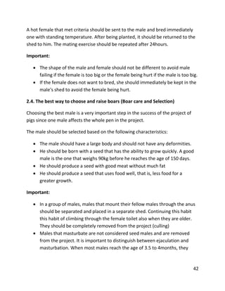42
A hot female that met criteria should be sent to the male and bred immediately
one with standing temperature. After being planted, it should be returned to the
shed to him. The mating exercise should be repeated after 24hours.
Important:
 The shape of the male and female should not be different to avoid male
failing if the female is too big or the female being hurt if the male is too big.
 If the female does not want to bred, she should immediately be kept in the
male's shed to avoid the female being hurt.
2.4. The best way to choose and raise boars (Boar care and Selection)
Choosing the best male is a very important step in the success of the project of
pigs since one male affects the whole pen in the project.
The male should be selected based on the following characteristics:
 The male should have a large body and should not have any deformities.
 He should be born with a seed that has the ability to grow quickly. A good
male is the one that weighs 90kg before he reaches the age of 150 days.
 He should produce a seed with good meat without much fat
 He should produce a seed that uses food well, that is, less food for a
greater growth.
Important:
 In a group of males, males that mount their fellow males through the anus
should be separated and placed in a separate shed. Continuing this habit
this habit of climbing through the female toilet also when they are older.
They should be completely removed from the project (culling)
 Males that masturbate are not considered seed males and are removed
from the project. It is important to distinguish between ejaculation and
masturbation. When most males reach the age of 3.5 to 4months, they
 