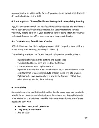 49
man do medical activities on the farm. Or you can hire an experienced doctor to
do medical activities in the field.
4. Some Important Diseases/Problems Affecting the Economy in Pig Breeding
Pigs, like any other animal, can be affected by various diseases and it will take a
whole book to talk about various diseases. It is very important to contact
veterinary experts as soon as your pet shows signs of being bitten. Here we will
talk about diseases that affect the economy of the project directly.
4.1. Piglet Mortality from Birth to Weaning
50% of all animals that die in a piggery project, die in the period from birth and
immediately after weaning (period up to 5weeks.)
The following are important factors that will help prevent or reduce deaths;
 High level of hygiene in the birthing and piglet's shed
 The right shed to give birth and feed for the female
 Close supervision when piglets are born
 Piglets must suckle milk 1-2 hours after birth to get the initial milk called
colostrum that provides immunity to children in the first 2 to 3 weeks
 Piglets should have a warm place to stay in the first days of their lives
otherwise they will die of the following:
4.1.1. Disability
Some piglets are born with disabilities either for the cause poor nutrition in the
female during pregnancy or inherited from the parents and these children die
after a few days due to failure to suckle and starve to death, so some of these
piglets are born with:
 Hernia of the stomach or testicles
 They do not have an anus
 And bisexual
 
