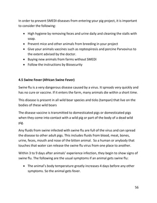 56
In order to prevent SMEDI diseases from entering your pig project, it is important
to consider the following:
 High hygiene by removing feces and urine daily and cleaning the stalls with
soap.
 Prevent mice and other animals from breeding in your project
 Give your animals vaccines such as reptospirosis and porcine Parvovirus to
the extent advised by the doctor.
 Buying new animals from farms without SMEDI
 Follow the instructions by Biosecurity
4.5 Swine Fever (African Swine Fever)
Swine flu is a very dangerous disease caused by a virus. It spreads very quickly and
has no cure or vaccine. If it enters the farm, many animals die within a short time.
This disease is present in all wild boar species and ticks (tampan) that live on the
bodies of these wild boars
The disease vaccine is transmitted to domesticated pigs or domesticated pigs
when they come into contact with a wild pig or part of the body of a dead wild
pig.
Any fluids from swine infected with swine flu are full of the virus and can spread
the disease to other adult pigs. This includes fluids from blood, meat, bones,
urine, feces, mouth and nose of the bitten animal. So a human or anybody that
touches that water can release the swine flu virus from one place to another.
Within 3 to 9 days after animals’ experience infection, they begin to show signs of
swine flu. The following are the usual symptoms if an animal gets swine flu:
 The animal’s body temperature greatly increases 4 days before any other
symptoms. So the animal gets fever.
 