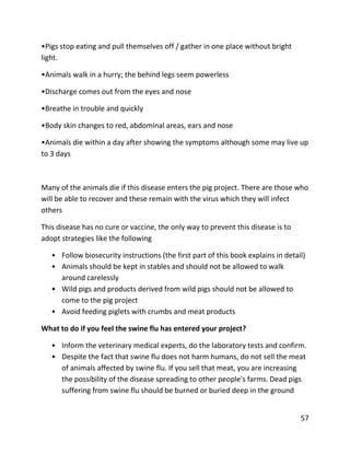 57
•Pigs stop eating and pull themselves off / gather in one place without bright
light.
•Animals walk in a hurry; the behind legs seem powerless
•Discharge comes out from the eyes and nose
•Breathe in trouble and quickly
•Body skin changes to red, abdominal areas, ears and nose
•Animals die within a day after showing the symptoms although some may live up
to 3 days
Many of the animals die if this disease enters the pig project. There are those who
will be able to recover and these remain with the virus which they will infect
others
This disease has no cure or vaccine, the only way to prevent this disease is to
adopt strategies like the following
• Follow biosecurity instructions (the first part of this book explains in detail)
• Animals should be kept in stables and should not be allowed to walk
around carelessly
• Wild pigs and products derived from wild pigs should not be allowed to
come to the pig project
• Avoid feeding piglets with crumbs and meat products
What to do if you feel the swine flu has entered your project?
• Inform the veterinary medical experts, do the laboratory tests and confirm.
• Despite the fact that swine flu does not harm humans, do not sell the meat
of animals affected by swine flu. If you sell that meat, you are increasing
the possibility of the disease spreading to other people's farms. Dead pigs
suffering from swine flu should be burned or buried deep in the ground
 