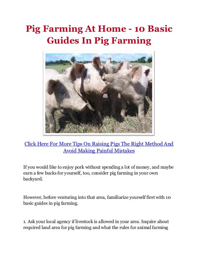 Pig Farming At Home 10 Basic Guides In Pig Farming