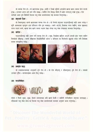  of] ;?jf /f]u xf] . of] vt/gfs x'G5 . 3fF6L / lha|f] ;'lgg] ePsf]n] vfgf vfg Zjf; km]g{ uf¥xf]
x'G5 . pkrf/ ePg eg] dg{ klg ;S5 . To;}n] /f]u lj?4 klxn] g} vf]k nufpg' /fd|f] x'G5 . /f]u
nfu]sf] yfxf x'g] ljlQs} lhNnf kz' ;]jf sfof{nodf uO{ ;Nnfx lng'kb{5 .
 
of] ljiff0f'af6 nfUg] vt/gfs ;?jf /f]u xf] . of] /f]un] a+u'/sf kf7fkf7LnfO{ a8L c;/ ub{5 /
s'g} cj:yfdf d[To'b/ zt k|ltzt klg x'g ;Sb5 . Hj/f] cfpg], lb;fdf /ut b]vLg], gfs d'vaf6
t/n kbfy{ aUg], vfgf sd vfg] h:tf nIf0f b]vf k/]df kz' ;]jf s]Gb|af6 ;Nnfx lng'kb{5 .
 
kf7fkf7LnfO{ a9L c;/ ug]{ ;?jf /f]u xf] . d'v, lha|f]df vl6/f cfpg] ePsf] x'Fbf ¥ofn aflx/
lg:s]sf] b]lvG5 . o:tf] b]lvPdf lkm6ls/Lsf] emf]n ! k|ltzt jf lkmg]nn] v'§fdf ;kmf u/L lxd]S;
dnd nufOlbg' kb{5 .

 
of] Zjf;k|Zjf;df cK7of/f] x'g] /f]u xf] . of] /f]u sL6f0f' / hLjf0f'af6 x'g] /f]u xf] . o;sf]
pkrf/ x'Fb}g . ;/;kmfO{df Wofg lbg' kb{5 .
 
uf]nf] / lkmQ] h'sf, h'd|f, lsgf{ nufotsf ;a} vfn] leqL / aflx/L k/lhjLx? a+u'/df nfUb5g .
glhssf] kz' ;]jf s]Gb| jf lhNnf kz' ;]jf sfof{nosf] ;Nnfx cg';f/ sfd ug'{kb{5 .
 