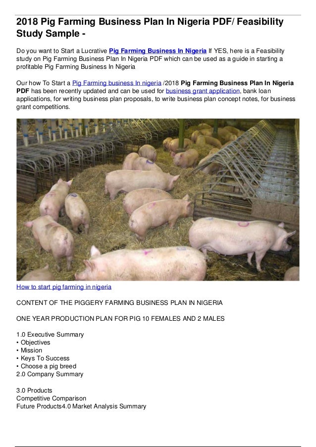 pig farming business plan in india pdf