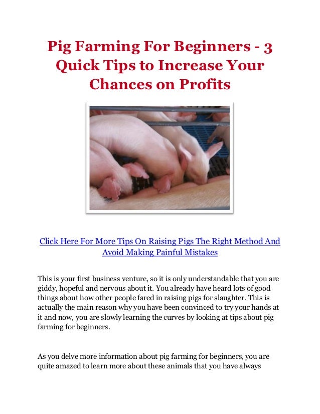 pig farming business plan