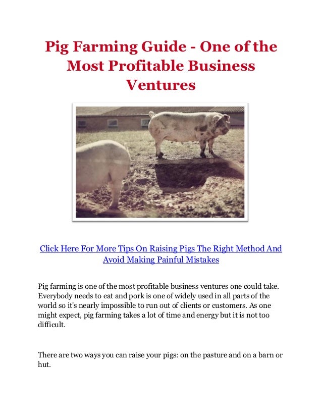 Pig farming business plan