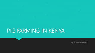 PIG FARMING IN KENYA
By Antony.w.wangeci
 
