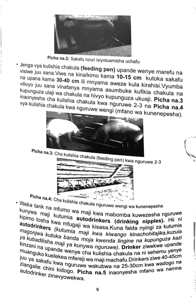 CATTLE FARMING MANUAL PDF visual data 5