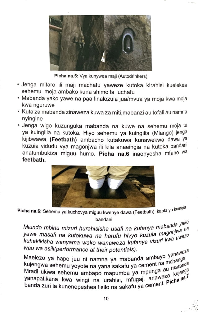 CATTLE FARMING MANUAL PDF visual data 4