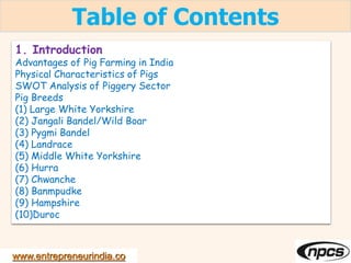 www.entrepreneurindia.co
Table of Contents
1. Introduction
Advantages of Pig Farming in India
Physical Characteristics of Pigs
SWOT Analysis of Piggery Sector
Pig Breeds
(1) Large White Yorkshire
(2) Jangali Bandel/Wild Boar
(3) Pygmi Bandel
(4) Landrace
(5) Middle White Yorkshire
(6) Hurra
(7) Chwanche
(8) Banmpudke
(9) Hampshire
(10)Duroc
 