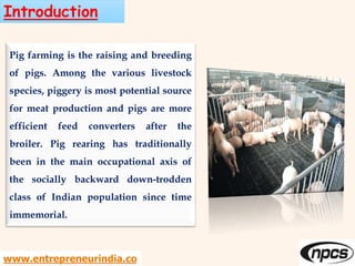 www.entrepreneurindia.co
Introduction
Pig farming is the raising and breeding
of pigs. Among the various livestock
species, piggery is most potential source
for meat production and pigs are more
efficient feed converters after the
broiler. Pig rearing has traditionally
been in the main occupational axis of
the socially backward down-trodden
class of Indian population since time
immemorial.
 