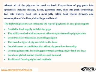 www.entrepreneurindia.co
Almost all of the pig can be used as food. Preparations of pig parts into
specialties include: sausage, bacon, gammon, ham, skin into pork scratchings,
feet into trotters, head into a meat jelly called head cheese (brawn), and
consumption of the liver, chitterlings and blood.
The following factors can influence the type of pig farms in any given region:
 Available food supply suitable for pigs
 The ability to deal with manure or other outputs from the pig operation
 Local beliefs or traditions, including religion
 The breed or type of pig available to the farm
 Local diseases or conditions that affect pig growth or fecundity
 Local requirements, including government zoning and/or land use laws
 Local and global market conditions and demand
 Traditional farming styles and methods
 