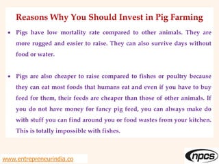 Reasons Why You Should Invest in Pig Farming
 Pigs have low mortality rate compared to other animals. They are
more rugged and easier to raise. They can also survive days without
food or water.
 Pigs are also cheaper to raise compared to fishes or poultry because
they can eat most foods that humans eat and even if you have to buy
feed for them, their feeds are cheaper than those of other animals. If
you do not have money for fancy pig feed, you can always make do
with stuff you can find around you or food wastes from your kitchen.
This is totally impossible with fishes.
www.entrepreneurindia.co
 