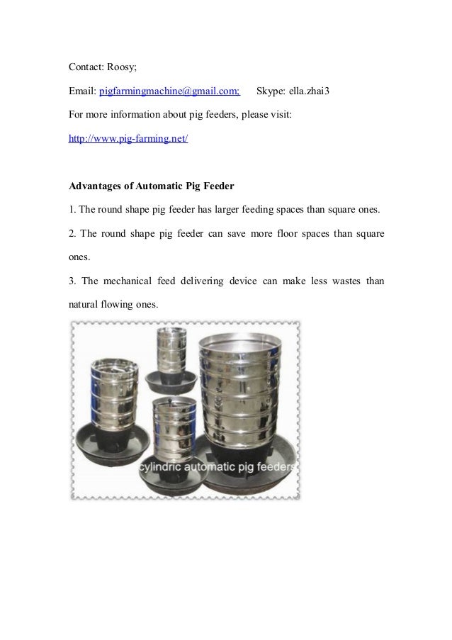 Automatic Pig Hog Feeders Full Equipped Pig Farming Accessories