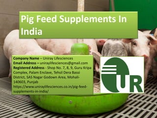 Pig Feed Supplements In
India
Company Name – Uniray Lifesciences
Email Address – uniraylifesciences@gmail.com
Registered Address - Shop No. 7, 8, 9, Guru Kripa
Complex, Palam Enclave, Tehsil Dera Bassi
District, SAS Nagar Godown Area, Mohali-
140603, Punjab
https://www.uniraylifesciences.co.in/pig-feed-
supplements-in-india/
 