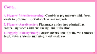 30
Cont...
4. Piggery–Vermicomposting: Combines pig manure with farm.
waste to produce nutrient-rich vermicompost.
5. Piggery–Agroforestry: Pigs graze under tree plantations,
controlling weeds and enhancing land utilization.
6. Piggery–Poultry/Dairy: Offers diversified income, with shared
feed, water systems and integrated waste use
 