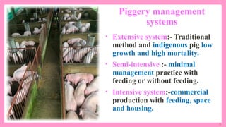 5
Piggery management
systems
• Extensive system:- Traditional
method and indigenous pig low
growth and high mortality.
• Semi-intensive :- minimal
management practice with
feeding or without feeding.
• Intensive system:-commercial
production with feeding, space
and housing.
 