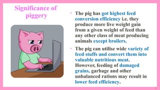 6
Significance of
piggery • The pig has got highest feed
conversion efficiency i.e. they
produce more live weight gain
from a given weight of feed than
any other class of meat producing
animals except broilers.
• The pig can utilise wide variety of
feed stuffs and convert them into
valuable nutritious meat.
However, feeding of damaged
grains, garbage and other
unbalanced rations may result in
lower feed efficiency.
 
