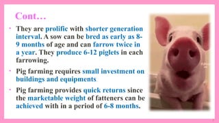 7
Cont…
• They are prolific with shorter generation
interval. A sow can be bred as early as 8-
9 months of age and can farrow twice in
a year. They produce 6-12 piglets in each
farrowing.
• Pig farming requires small investment on
buildings and equipments
• Pig farming provides quick returns since
the marketable weight of fatteners can be
achieved with in a period of 6-8 months.
 