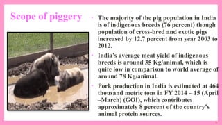 9
Scope of piggery • The majority of the pig population in India
is of indigenous breeds (76 percent) though
population of cross-bred and exotic pigs
increased by 12.7 percent from year 2003 to
2012.
• India’s average meat yield of indigenous
breeds is around 35 Kg/animal, which is
quite low in comparison to world average of
around 78 Kg/animal.
• Pork production in India is estimated at 464
thousand metric tons in FY 2014 – 15 (April
–March) (GOI), which contributes
approximately 8 percent of the country’s
animal protein sources.
 
