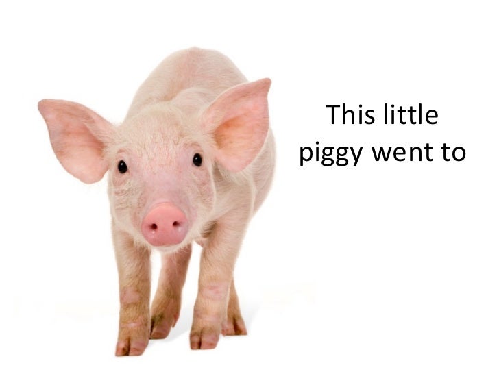 This little piggy went to