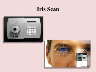 Iris Scan
 