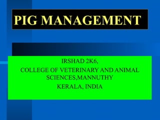 PIG MANAGEMENT IRSHAD 2K6, COLLEGE OF VETERINARY AND ANIMAL SCIENCES,MANNUTHY KERALA, INDIA 