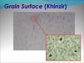 Grain Surface (Khinzir)
 