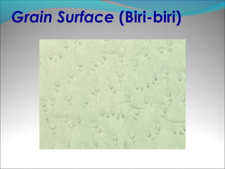 Grain Surface (Biri-biri)
 