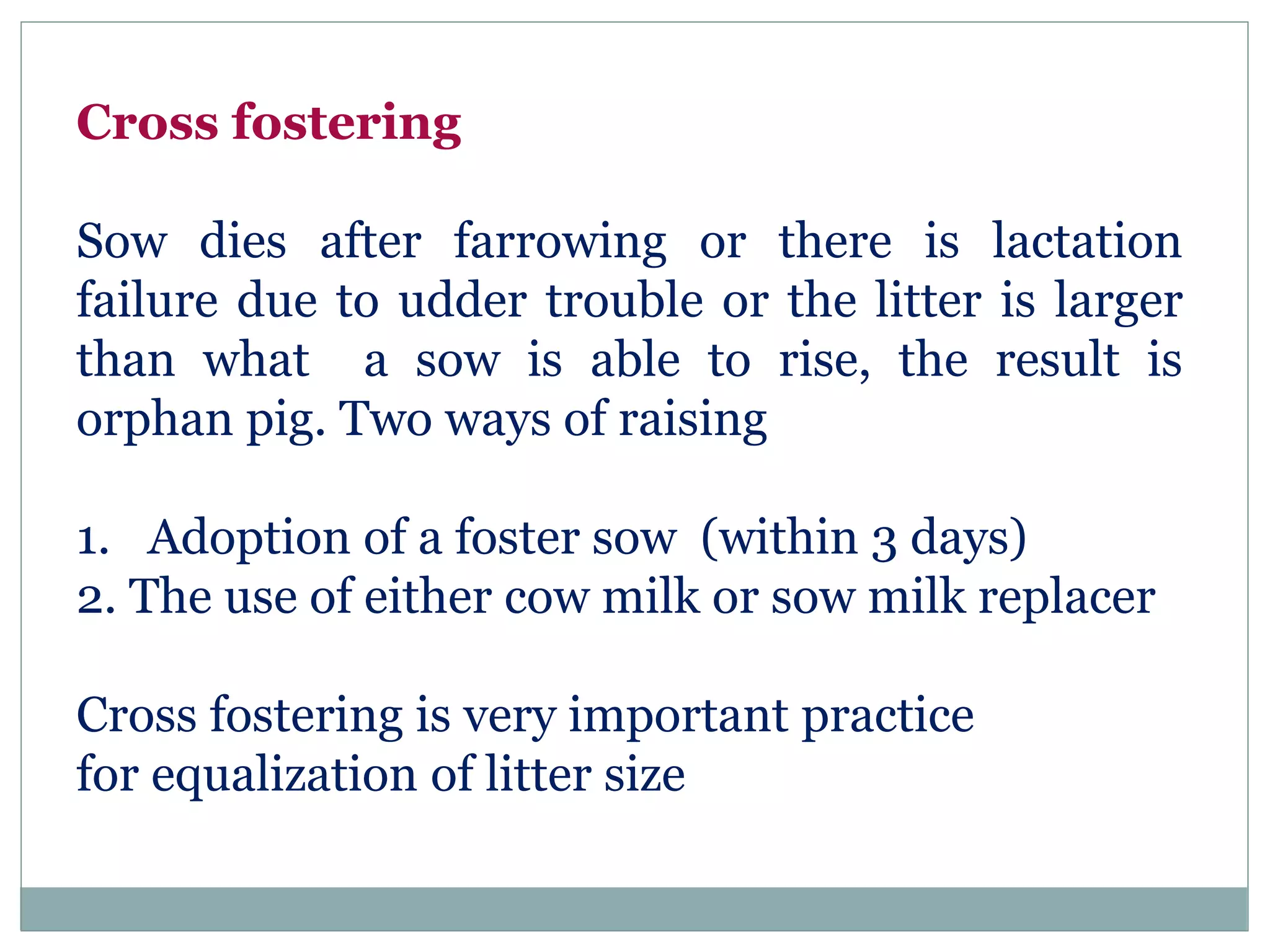 Cross fostering
Sow dies after farrowing or there is lactation
failure due to udder trouble or the litter is larger
than what a sow is able to rise, the result is
orphan pig. Two ways of raising
1. Adoption of a foster sow (within 3 days)
2. The use of either cow milk or sow milk replacer
Cross fostering is very important practice
for equalization of litter size
 