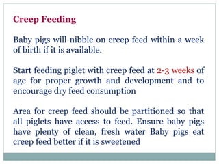 Piglet management | PPTX