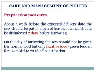 CARE AND MANAGEMENT OF PIGLETS
Preparation measures
About a week before the expected delivery date the
sow should be put in a pen of her own, which should
be disinfected 2 days before farrowing
On the day of farrowing the sow should not be given
her normal food but only laxative food (green fodder,
for example) to ward off constipation
 