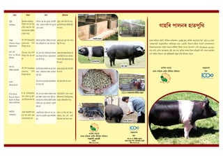 Handbook on scientific pig rearing in Assamese