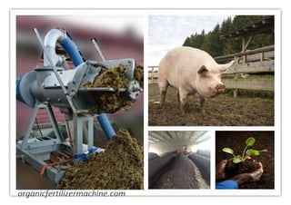 Pig manure composting