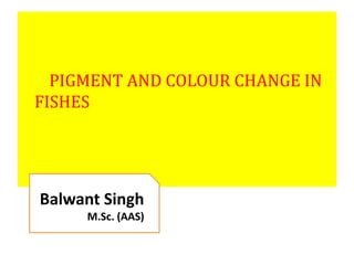 PIGMENT AND COLOUR CHANGE IN
FISHES
Balwant Singh
M.Sc. (AAS)
 