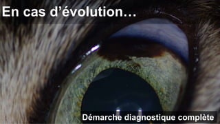 En cas d’évolution… 
Démarche diagnostique complète 
 
