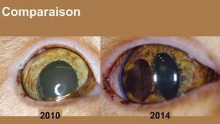 Comparaison 
2010 2014 
 