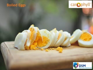 FOR INTERNAL USE ONLY

Boiled Eggs

 