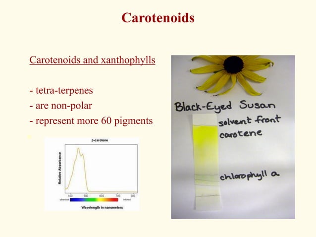 Beyond The Basics Advanced Pigment Matching In Chromatography - 22trktw
