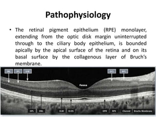Pathophysiology
• The retinal pigment epithelium (RPE) monolayer,
extending from the optic disk margin uninterrupted
through to the ciliary body epithelium, is bounded
apically by the apical surface of the retina and on its
basal surface by the collagenous layer of Bruch’s
membrane.
 