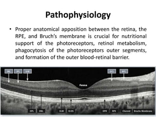 Pathophysiology
• Proper anatomical apposition between the retina, the
RPE, and Bruch’s membrane is crucial for nutritional
support of the photoreceptors, retinol metabolism,
phagocytosis of the photoreceptors outer segments,
and formation of the outer blood-retinal barrier.
 