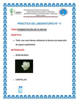 UNIVERSIDAD TÉCNICA DE MACHALA
DIRECCIÓN DE NIVELACIÓN Y ADMISIÓN
SISTEMA NACIONAL DE NIVELACIÓN Y ADMISIÓN
ÁREA: SALUD

PRACTICA DE LABORATORIO N° 11
TEMA:PIGMENTACIÓN DE PLANTAS
OBJETIVO:
Teñir una rosa blanca utilizando la técnica de absorción
de agua( capilaridad)
MATERIALES:
1.

ROSA BLANCA

2.

2 BOTELLAS

 